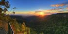 Canyon Lookout - Springbrook National Park - QLD T (PB5D 00 3906)